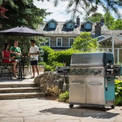 Broil King REG-S590P Regal S590 Pro 5-Burner Freestanding Grill With Side Burner, 32-Inches -Kitchen Grill Shop bk regals590pro ls a 06 20