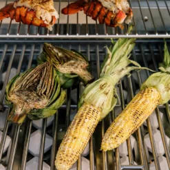 Coyote C-Series Stainless Steel Built-In Gas Grill, 28-Inch (C1C28) 11 Coyote C-Series Stainless Steel Built-In Gas Grill, 28-Inch (C1C28) -Kitchen Grill Shop c1c28 f 07 21