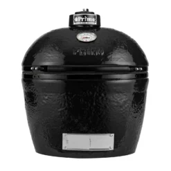 Primo CLGH Large Oval Ceramic Charcoal Kamado Grill Head
