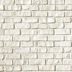 Coyote Ready-To-Assemble 6-Foot Premium Outdoor Kitchen Island With 30-Inch S-Series Gas Grill, 21-Inch Refrigerator & Access Doors (RTAC-G6-P)