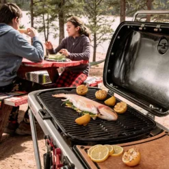 Weber Traveler Portable Propane Gas Grill With Side Table -Kitchen Grill Shop web 9010001 c 05 22