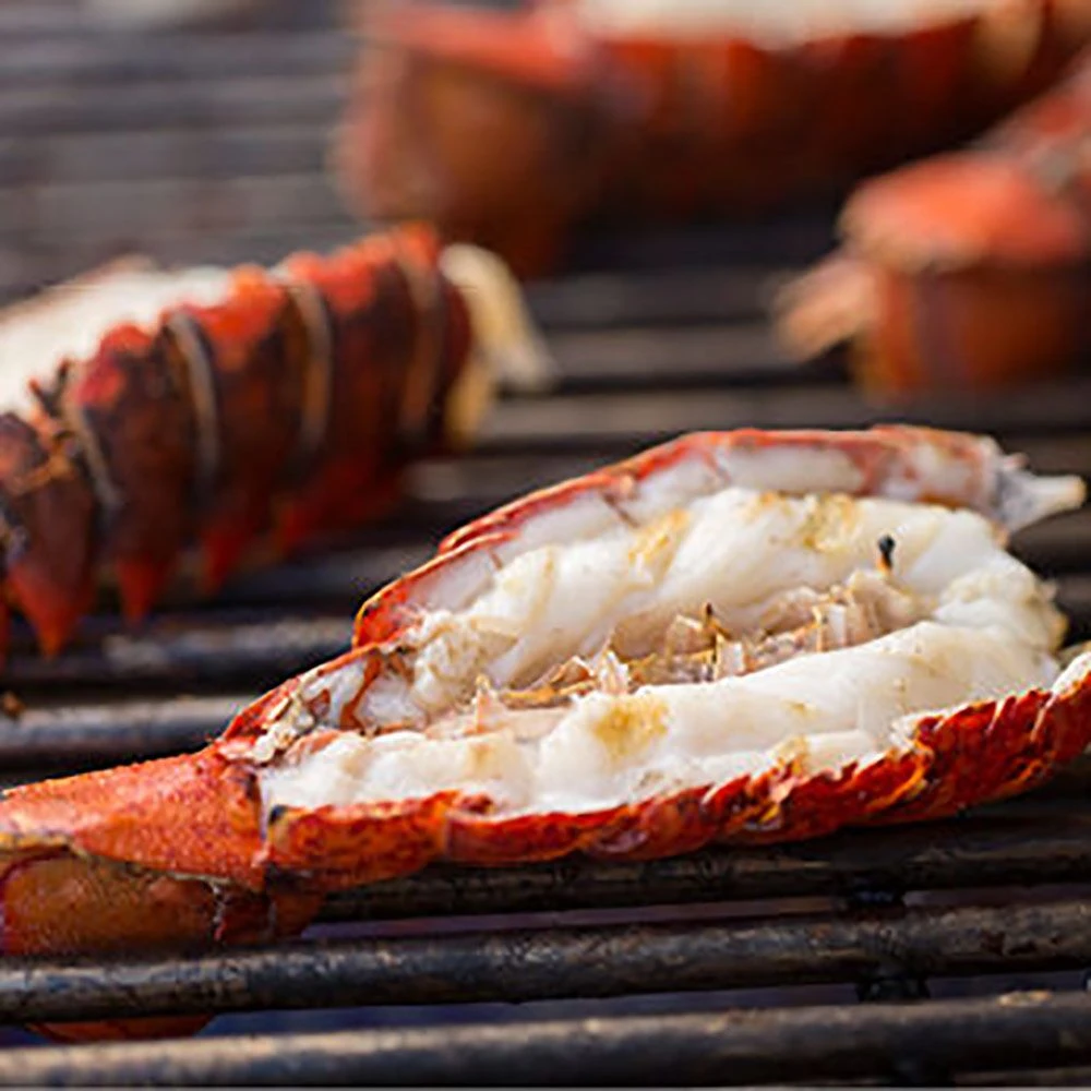 Weber Summit 4-Burner Built-In Gas Grill With Rotisserie, Sear Station And Access Doors (WEB-S-460) 5 Weber Summit 4-Burner Built-In Gas Grill With Rotisserie, Sear Station And Access Doors (WEB-S-460) - Image 5